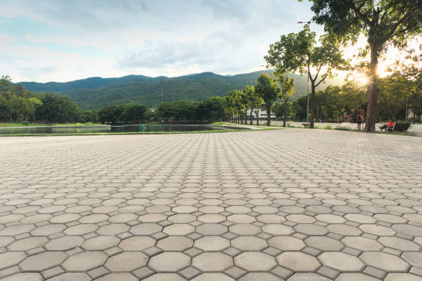 Best Permeable Paver Driveway  in Conehatta, MS